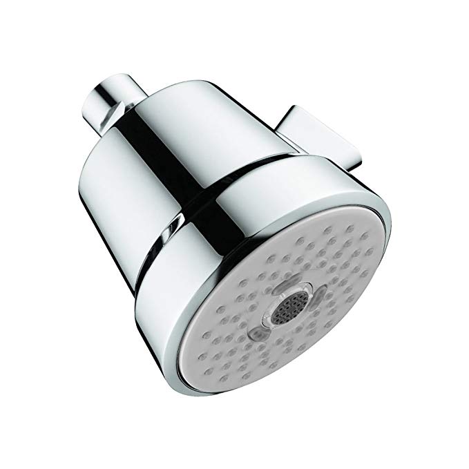 Hansgrohe 04500000 Club 100 Showerhead, Chrome