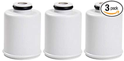 GE FXSCH Shower Water Filtration Replacement Filter (3 Pack)