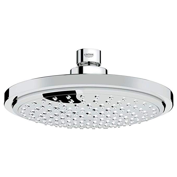 Euphoria Cosmopolitan 180 1-Spray Raincan Showerhead