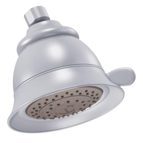 Moen 3838PM Four-Function Shower Head, Platinum